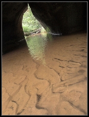 CRW_0203 