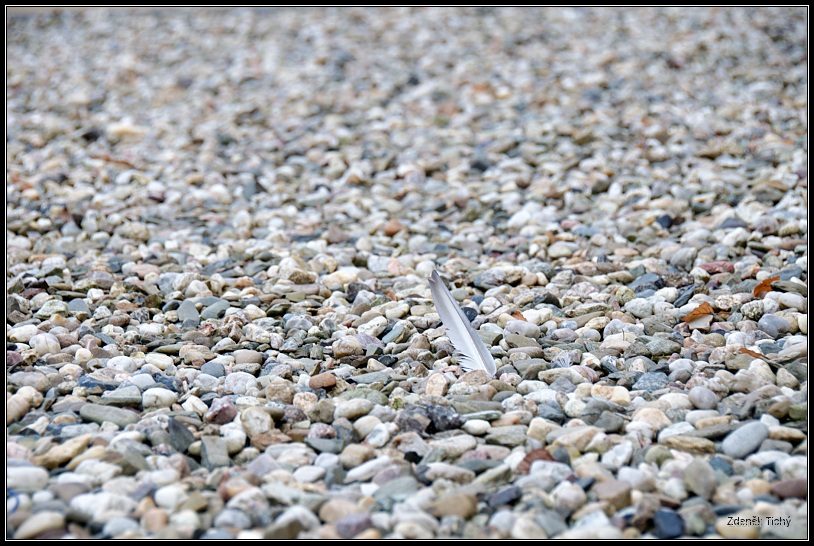DSC 3941